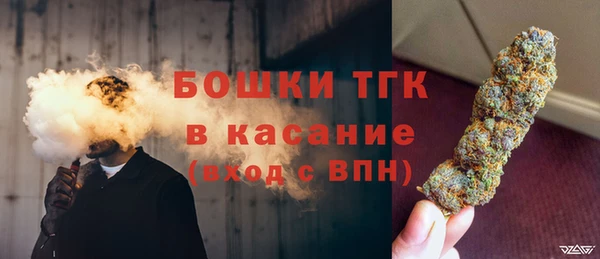 сатива Бородино