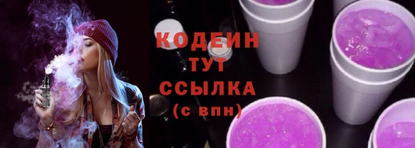 сатива Бородино