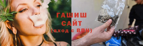 сатива Бородино