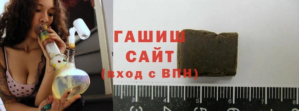 сатива Бородино