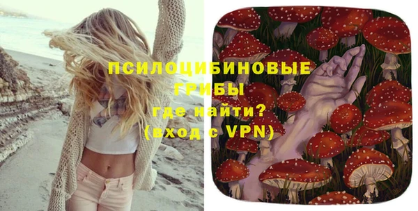 дурь Богданович
