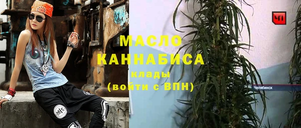 сатива Бородино