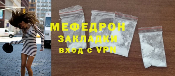 сатива Бородино