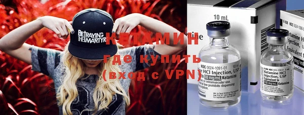 сатива Бородино