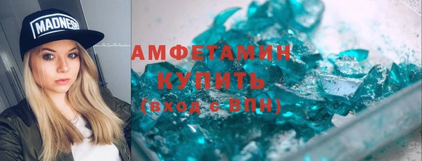 сатива Бородино