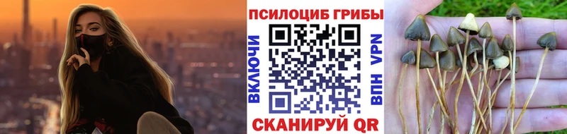 Псилоцибиновые грибы Psilocybe  OMG ONION  Волчанск  где купить наркотик 