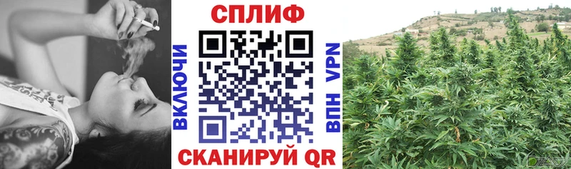 Бошки Шишки MAZAR  KRAKEN ONION  Волчанск 